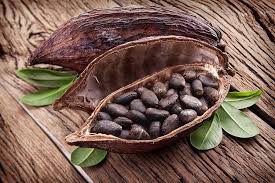 De gezonde voordelen van rauwe cacao • Gezond Afvallen